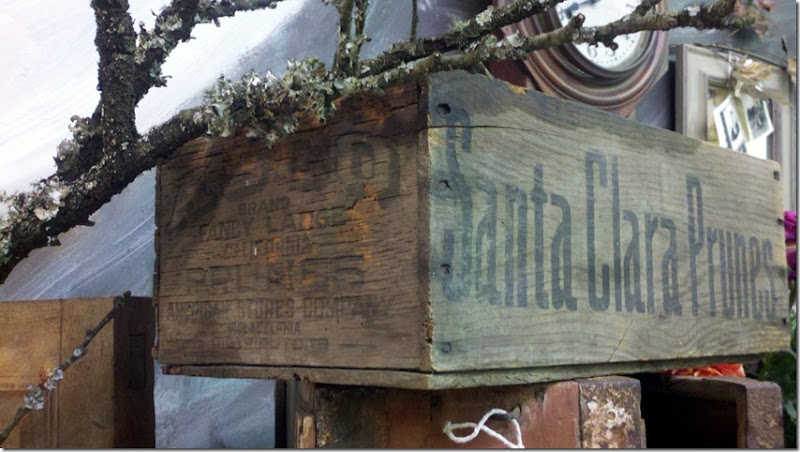 Santa Clara Prune Crate