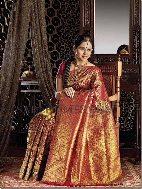 Devayani_Saree_Ad_Photoshoot (1)