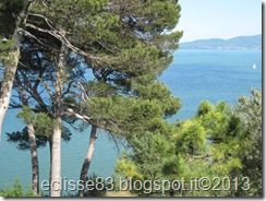 IMG_0177 IMG_0177