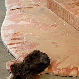 Wax Mark - Wax%252520Mark%252520006.jpg