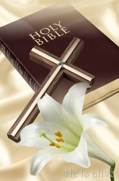 [bible%252C%2520cross%2520and%2520lilly%255B20%255D.jpg]