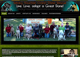loveadoptplay.org