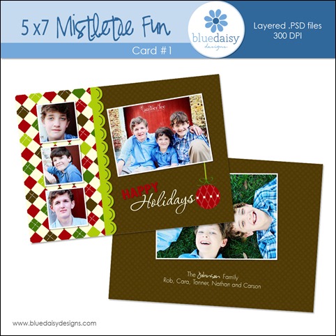 Mistletoe Card 1