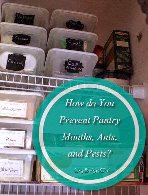 [How%2520do%2520You%2520Prevent%2520Pantry%2520Months%2520Antsand%2520Pests%255B3%255D.jpg]