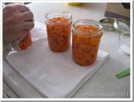 carrots, canning, canning carrots, pressure cooking