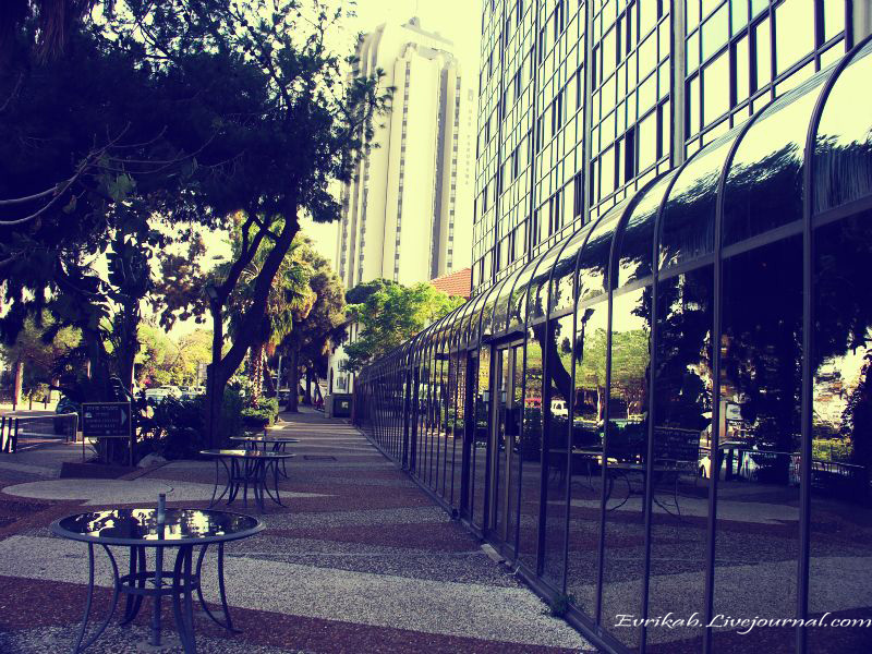 ЗИМНЯЯ ХАЙФА