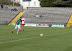 Thumbnail - 2010 SFC Final