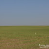 dsc06823.jpg