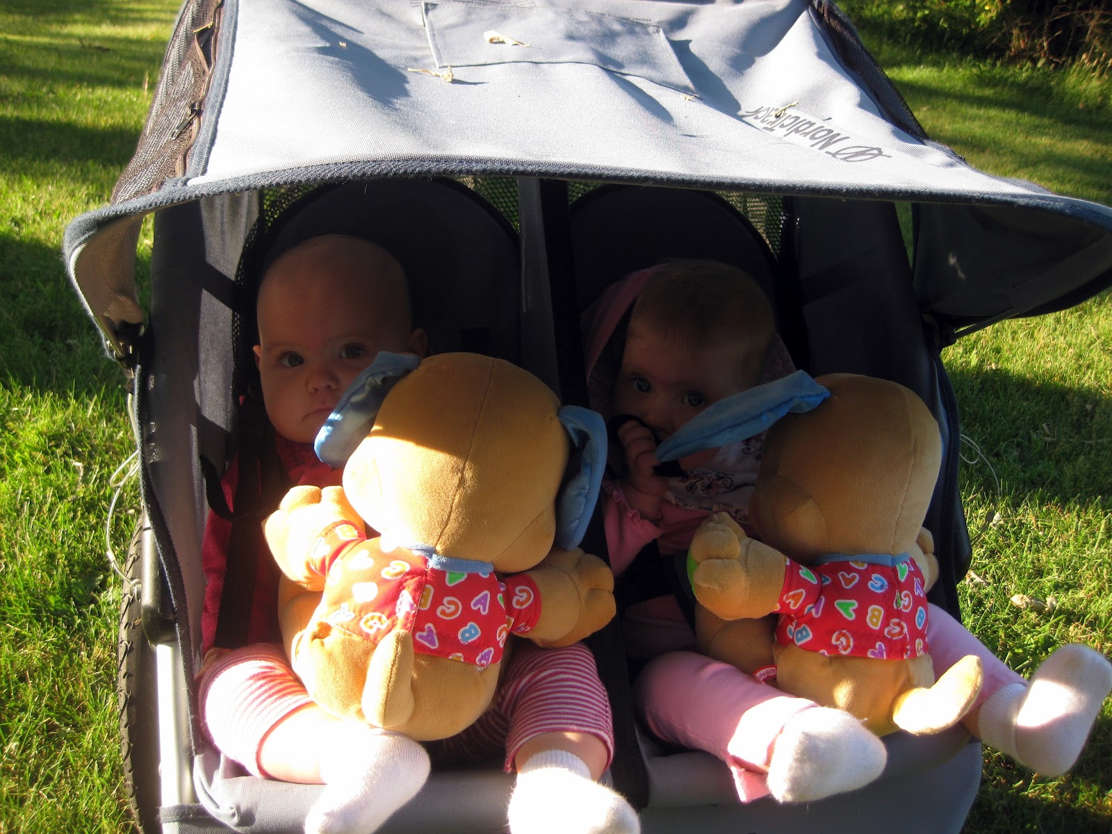 [IMG_3684%255B6%255D.jpg]