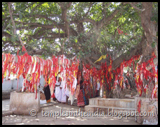 Akshaya-vat Akshaya-vat