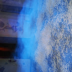 83440015.JPG