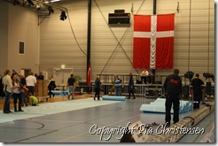 IMG_1307 IMG_1307