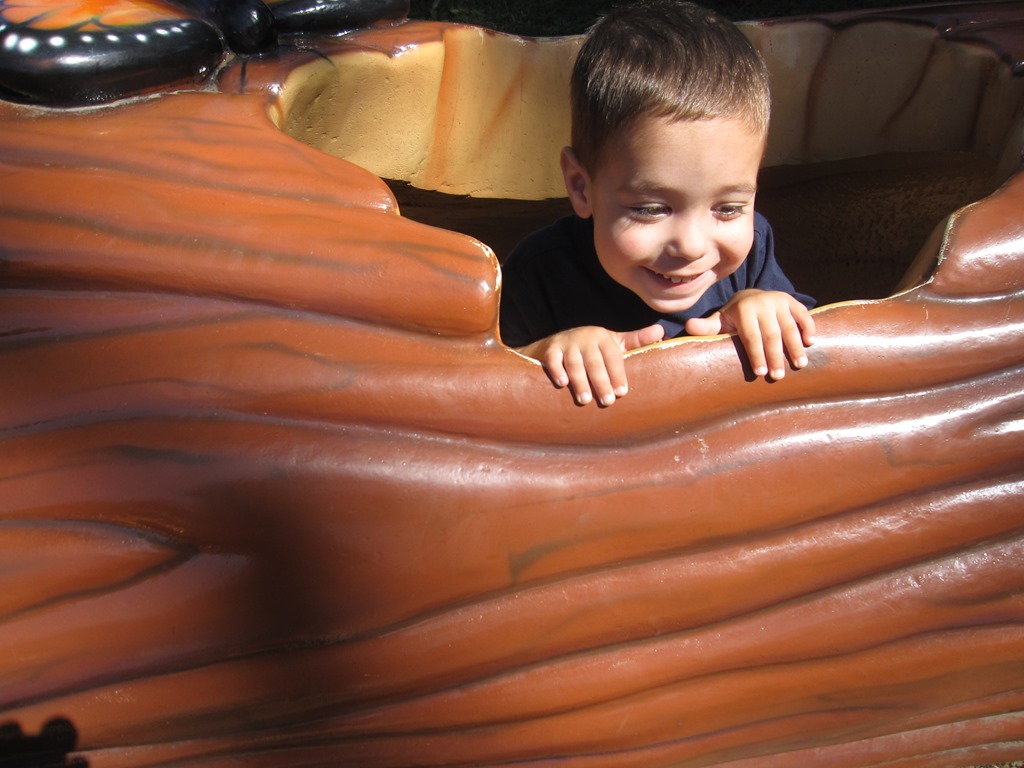 [Picture%2520201%255B3%255D.jpg]