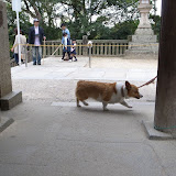 R0010977.JPG
