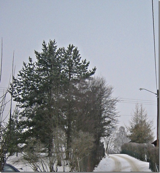 LANDSKAP2 12.12.12 LANDSKAP2 12.12.12