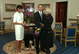 [Screenshot%2520Studio%2520capture%2520%2523884%255B28%255D.png]