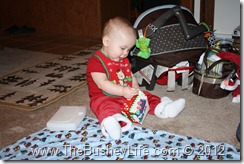 IMG_0631 IMG_0631