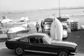Shelby-Caroll-102
