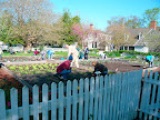 Scores of enthusiastic, dedicated volunteers help to make Williamsburg the special place it is and here is a crew of gardeners out early on a Saturday morning planting veg.