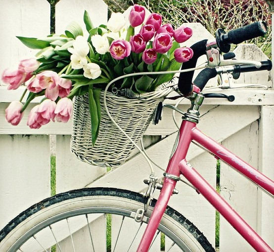 [bicycle%2520with%2520tulips%255B2%255D.jpg]