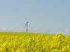 DSCN4618.JPG
