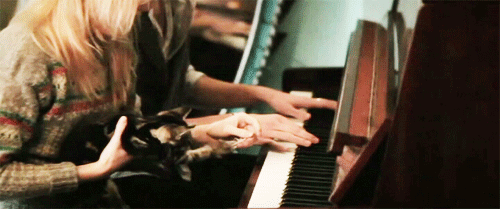 gato pianista blogdeimagenes (2)