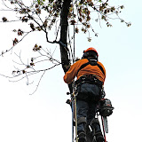 70 feet in the air tying a rope on