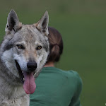 VV CSV Bojnice 201204_0103.JPG