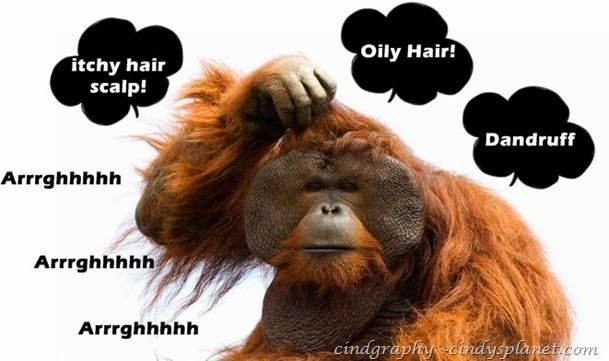 monkey-scratching-head-600x360 monkey-scratching-head-600x360