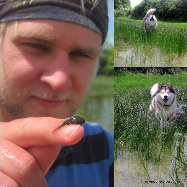 The god of small wild things