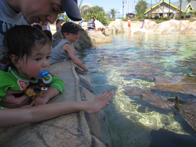 [IMG_7626%255B2%255D.jpg]