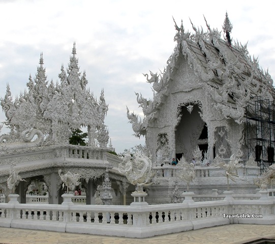 [IMG_75585.jpg]