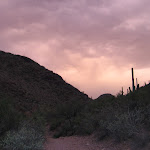 IMG_2533.JPG