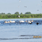 IMG_3797.JPG