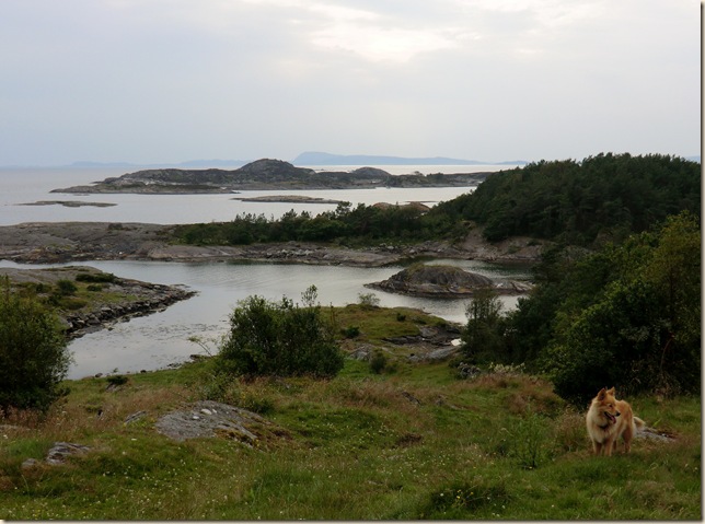 juli 2011 Sola og båtur 231