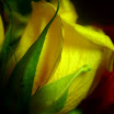 P9152560.JPG