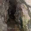 SDC12230.JPG