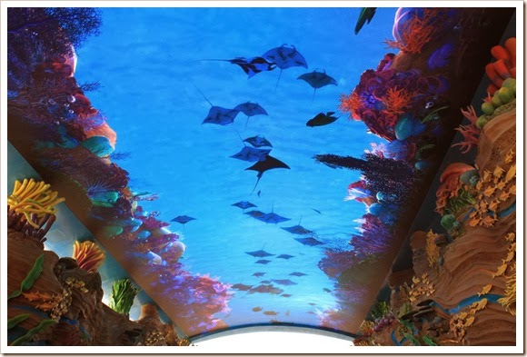 珠海橫琴長隆海洋王國_海洋大街_03