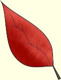 dibujohojasotonoparaimprimir.jpg