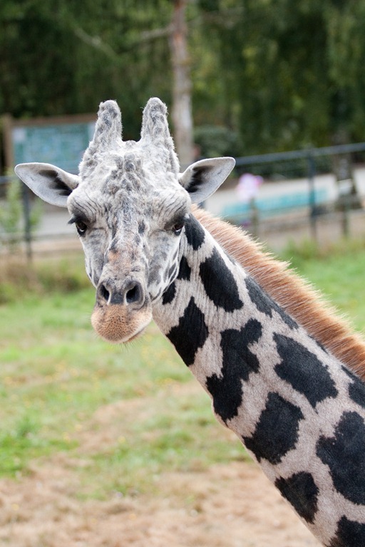 [20120903-IMG_95283.jpg]