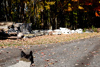 Exploring the stone yard