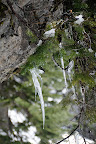 DSC_0812.jpg