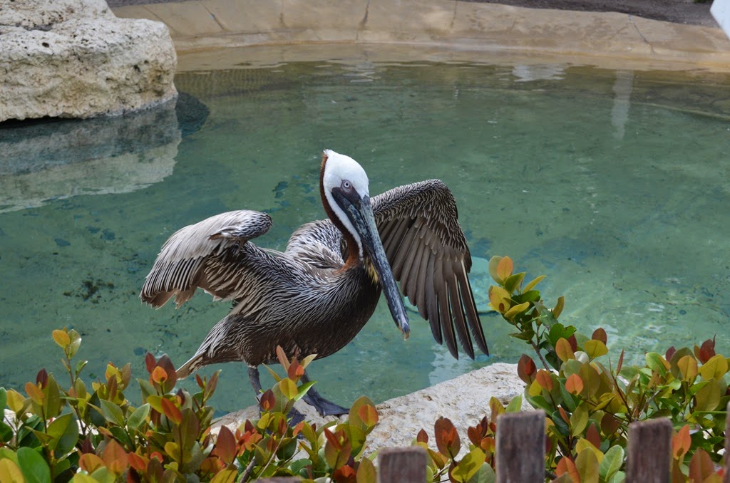 [DSC_8967%255B3%255D.jpg]