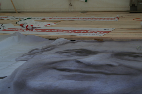 DSC00900.jpg