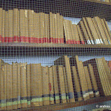 libri