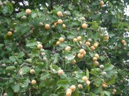 [image%255B8%255D.png]