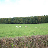 France - Retour - Entre Roanne et Moulins
