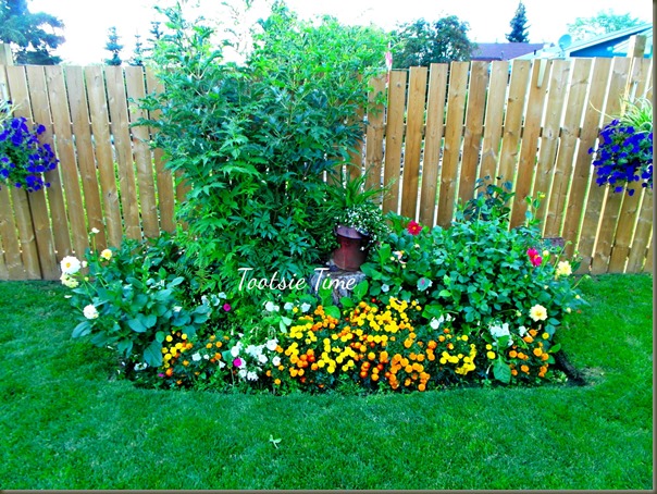 BeFunky_049.jpg BeFunky_049.jpg