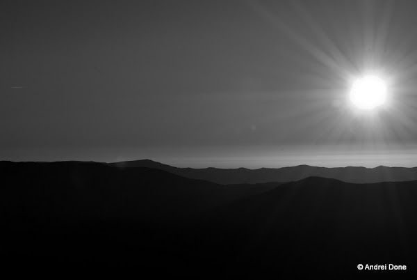 DSC_9331.jpg DSC_9331.jpg