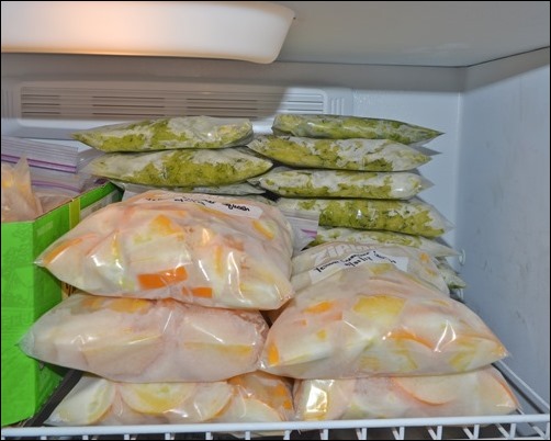 frozen zucchini frozen zucchini